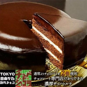 情熱と誘惑のザッハトルテ（ミルク／ビター） チュベ・ド・ショコラ【チョコケーキ】（割れチョコ　クーベルチュール）