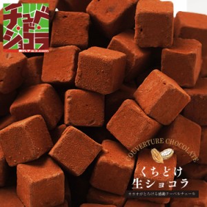 くちどけ生ショコラ (500g)　生チョコレート 生チョコ チョコレート チョコ チョコスイーツ　クーベルチュール　ギフト　東京・自由が丘