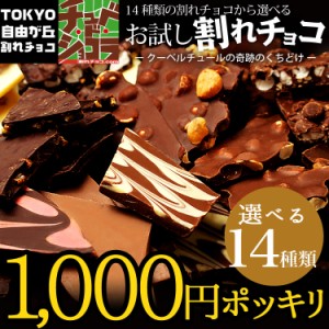 1000円ポッキリ【お試し割れチョコ】 東京・自由が丘チュベ・ド・ショコラの14種類から選べる割れ チョコレート 送料無料 ポイント消