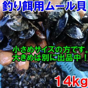 【5％クーポン有】釣り餌に 「ムラサキイガイ　小さめ１４ｋｇ」冷凍品　１４キロ 小分け袋入りではないバラタイプです。イガイ カラス貝