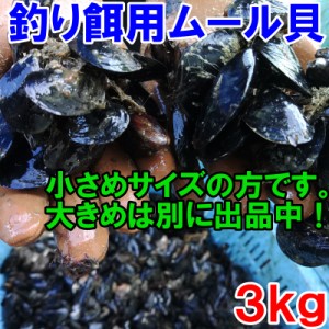 【5％クーポン有】釣り餌に 「ムラサキイガイ　小さめ３ｋｇ」冷凍品　３キロ 小分け袋入りではないバラタイプです。イガイ カラス貝 ム