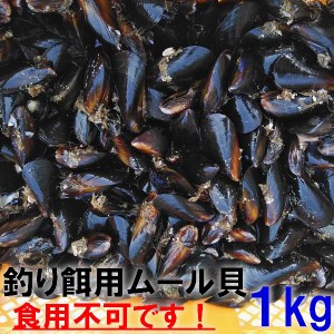 【５％クーポン有100枚限定】釣り餌に 「ムラサキイガイ１ｋｇ」冷凍品　１キロ イガイ カラス貝 ムール貝 釣りエサ クロダイ 黒鯛 チヌ 