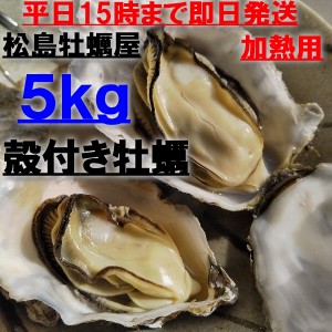 【5％クーポン有】「牡蠣５ｋｇ」(目安60粒) 送料無料 宮城県産 無選別牡蠣 【牡蠣】【牡蠣 殻付き】御中元 御歳暮 父の日 母の日 カキ 