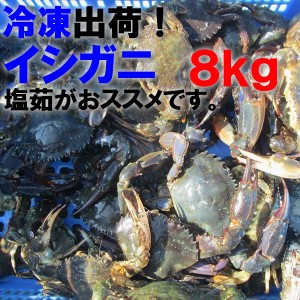 送料無料！「冷凍　食用石蟹４ｋｇ×２箱で8ｋｇ」 宮城県松島産　食用 冷凍のみ　石蟹８ｋｇ訳あり品　石かにイシガニ 沖縄配送不可【12