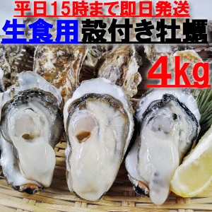 【5％クーポン有】「生食用 殻付き 牡蠣 ４ｋｇ」（28~70粒）【一部条件付き要説明確認】 ４キロ 牡蠣 殻付き 牡蛎 牡蠣 殻付 宮城県産 