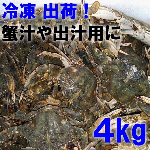 【５％クーポン有】送料無料★餌用　石蟹4ｋｇ冷凍品　イシガニ　マダコ釣りに　石カニ★食用ではありません★　真蛸釣り「餌用イシガニ