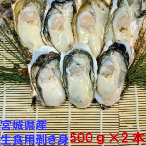 【5％クーポン有】生食用 剥き身 牡蠣 宮城県産 「500ｇ×２本 カキ むき身」 松島牡蠣屋 カキフライに 牡蠣鍋に カキ 牡蠣 殻付き 殻付