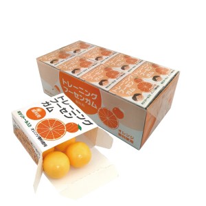 トレーニング フーセンガム(4粒×24箱)　オレンジ味
