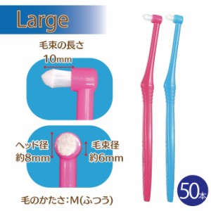 CiPRO ワンタフト ラージヘッド Mふつう 50本入