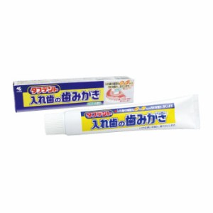 タフデント 入れ歯の歯みがき [小林製薬] / 1本(95g)