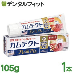 カムテクト プレミアム 歯ぐきケア 1本(105g) 【歯周病(歯肉炎・歯槽膿漏)虫歯予防】【医薬部外品】 GSK 歯磨き粉 高濃度フッ素配合1400p