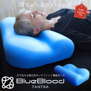 枕  芯で支える ストレートネック ピロー ブルーブラッド タントラ TANTRA BlueBlood コアピロー まくら  快眠枕 安眠枕 眠れる 人気枕 