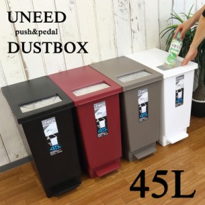 分別 ゴミ箱 45リットル プッシュ＆ペダル ダストボックス UNEED ユニード 45L ごみ箱 オシャレ 2way ふた付き シンプル 新生活 一人暮ら