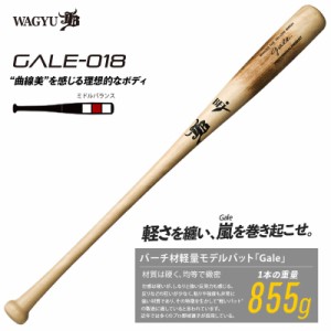 和牛JB  バーチ材硬式木製バット (Gale)   野球 硬式木製バット (中学硬式 高校 大学社会人 )   22FW(GALE018)