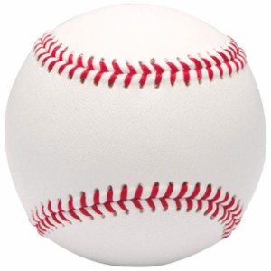 ミズノ MIZUNO サイン用ボール (硬式ボールサイズ) 野球 サイン用品 (1GJYB13700)