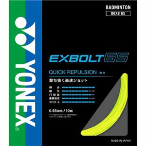 ヨネックス YONEX エクスボルト６５ テニス・バドミントン バッグ （BGXB65）