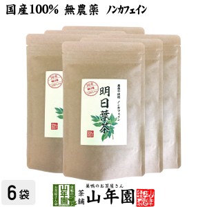 【国産 無農薬 100%】明日葉茶 40g×6袋セット 伊豆諸島で採れた明日葉茶 ノンカフェイン 明日葉 アシタバ茶 あしたば茶 明日葉 プレミア