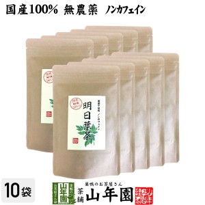 【国産 無農薬 100%】明日葉茶 40g×10袋セット 伊豆諸島で採れた明日葉茶 ノンカフェイン 明日葉 アシタバ茶 あしたば茶 プレミアム特典