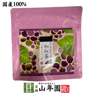 【国産紅茶】甲州ぶどうの和紅茶 2g×5パック 送料無料 静岡県産紅茶 山梨県産ぶどうティーバッグ ティーパック ダイエット ギフト プレ