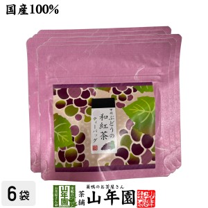 【国産紅茶】甲州ぶどうの和紅茶 2g×5パック×6袋セット プレミアム特典で送料無料 静岡県産紅茶 山梨県産ぶどうティーバッグ ティーパ