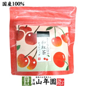 【国産紅茶】さくらんぼと和紅茶 2g×5パック 送料無料 静岡県産紅茶 さくらんぼティ 国産紅茶 日本茶 さくらんぼ ティーバッグ 紅茶 テ