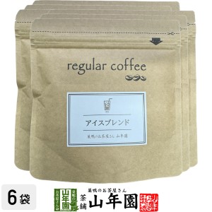 【レギュラーコーヒー】アイスブレンド 100g×6袋セット コーヒー豆 プレミアム特典で送料無料 ブラジル、コロンビア、グァテマラ産 珈琲