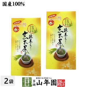 玄米茶 ティーバッグ 国産 5g×20パック×2袋セット 三角ティーパック 茶葉 緑茶 ギフト プレミアム特典で送料無料 お茶 父の日 お中元 2