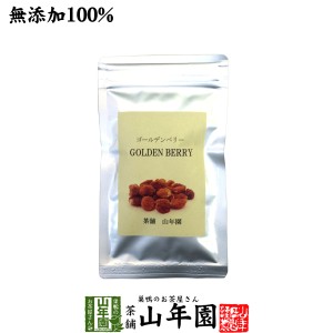 【無添加100%】ゴールデンベリー(インカベリー) 100g ダイエット 食用ほおずき サプリ ドライフルーツ スープ スムージー 送料無料 お茶 