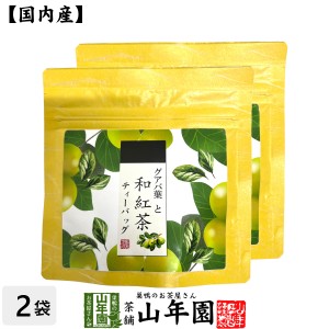 【国産紅茶】グアバ葉と和紅茶 2g×5パック×2袋セット プレミアム特典で送料無料 静岡県産紅茶 グアバの葉 国産紅茶 日本茶 グァバ ティ