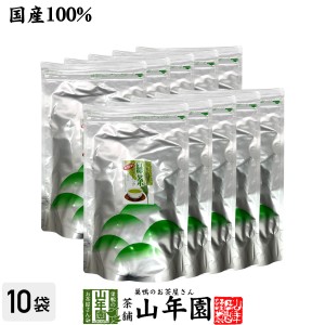 緑茶 煎茶 ティーバッグ 5g×100p×10袋セット 茶葉厳選 本格的 プレミアム特典で送料無料 ティーパック 冷水でもHOTでもおいしい 妊婦 