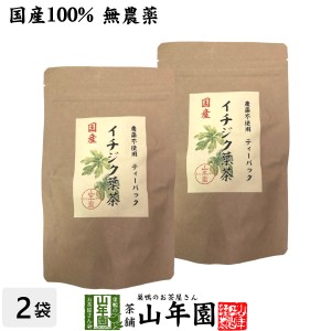 国産100% 無農薬 栃木県産 イチジク葉茶 1.5g×15パック×2袋 ティーパック ティーバッグ いちじく無花果 プレミアム特典で送料無料 健康