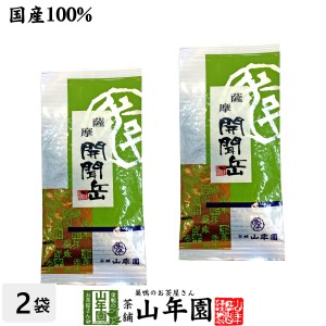 【国産】開聞岳茶 100g×2袋セット 鹿児島県産 国産100% 日本茶 茶葉 緑茶 ダイエット 無添加 ギフト お返し プレミアム特典で送料無料 