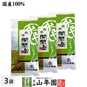 【国産】開聞岳茶 100g×3袋セット 鹿児島県産 国産100% 日本茶 茶葉 緑茶 ダイエット 無添加 ギフト お返し プレミアム特典で送料無料 