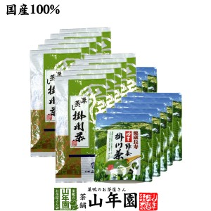 【掛川茶】掛川深蒸し茶+掛川粉末茶セット 20袋セット(1000g+500g) 日本茶 茶葉 煎茶 国産 粉末茶 静岡茶 粉末緑茶 緑茶 プレミアム特典