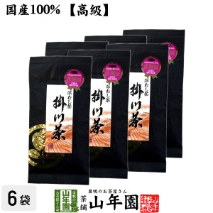 【高級】特選ブラック掛川茶 100g×6袋セット 深蒸し茶 日本茶 茶葉 国産 緑茶 ギフト プレミアム特典で送料無料 お茶 父の日 お中元 202