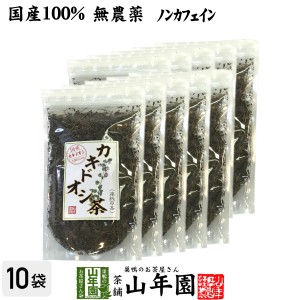 【国産 100%】カキドオシ茶 130g×10袋セット 無農薬 ノンカフェイン 宮崎県産 かきどおし茶 健康茶 妊婦 ダイエット 贈り物 プレミアム