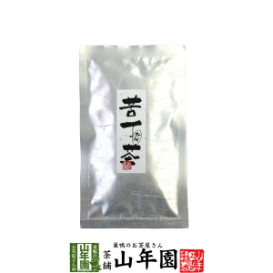 苦丁茶 一枝春 針状 25g 美味しい苦丁茶 飲みやすい苦丁茶 還暦祝い 男性 送料無料 お茶 父の日 お中元 2024 ギフト プレゼント 内祝い 