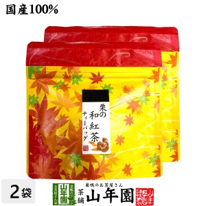 国産100% 栗の和紅茶 ティーパック 2g×5包×2袋セット ティーバッグ 健康 お土産 ギフトセット プレミアム特典で送料無料 お茶 父の日 