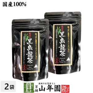 【国産】黒烏龍茶 48g（4g×12）×2袋セット 純国産 静岡県産茶葉を使用 烏龍茶重合ポリフェノール 健康 送料無料 国産 緑茶 お茶 母の日