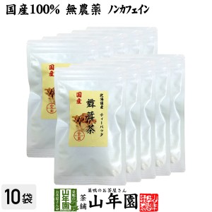 国産100% 舞茸茶 ティーパック 無農薬 3g×10パック×10袋セット ノンカフェイン まいたけ茶 マイタケ茶 キノコ プレミアム特典で送料無