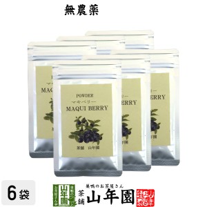 【無農薬マキベリー】マキベリー パウダー 粉末 30g×6袋セット チリ産 無農薬栽培 ダイエット サプリ スムージー 無農薬 プレミアム特典