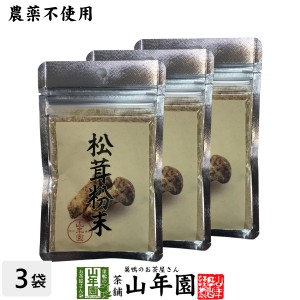 【農薬不使用】 松茸粉末 20g×3袋セット 無農薬で栽培された松茸を温風乾燥させて粉末に 健康 プレミアム特典で送料無料 緑茶 ダイエッ