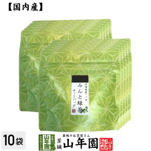 【国産100%】みんと緑茶 ティーパック 3g×5包×10袋セット プレミアム特典で送料無料 ティーバッグ 健康 ダイエット ギフト プレゼント 