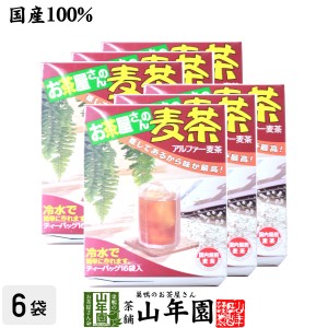 麦茶 国産 むぎ茶 10g×16袋×6箱セット 美味しい麦茶 安心安全の麦茶 プレミアム特典で送料無料 お茶 父の日 お中元 2024 ギフト プレゼ