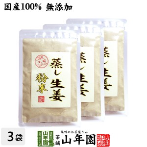 【国産 無添加 100%】【30分間蒸した生姜のみ使用】蒸し生姜 粉末 45g×3袋セット 熊本県産 蒸ししょうが プレミアム特典で送料無料 お茶