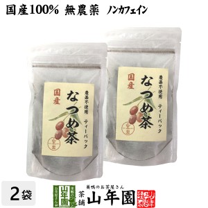 【国産】なつめ茶 ティーバッグ 24g（2g×12P）×2袋セット 無農薬 ノンカフェイン 漢方 薬膳 果物 プレミアム特典で送料無料 お茶 父の