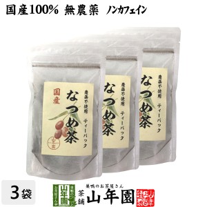 【国産】なつめ茶 ティーバッグ 24g（2g×12P）×3袋セット 無農薬 ノンカフェイン 漢方 薬膳 果物 送料無料 お茶 母の日 父の日 2024 ギ