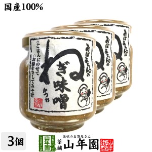 国産 おばあちゃんのねぎ味噌 100g×3個セット ごはんのお供 お湯をさして味噌汁 お土産 ギフトセット プレミアム特典で送料無料 お茶 父