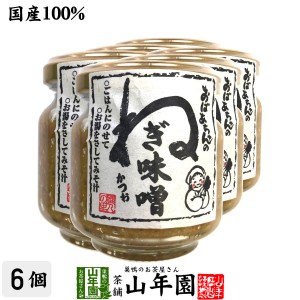 国産 おばあちゃんのねぎ味噌 100g×6個セット ごはんのお供 お湯をさして味噌汁 お土産 ギフトセット プレミアム特典で送料無料 お茶 父