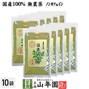 【国産 無農薬 100%】日本山人参 粉末 ヒュウガトウキ 50g×10袋セット パウダー 九州産ノンカフェイン 日本山人参茶 プレミアム特典で送